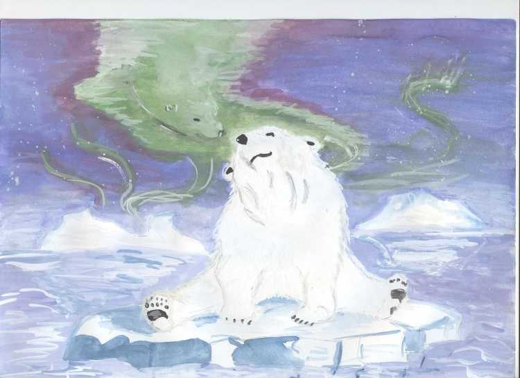 Арктика рисунки детей