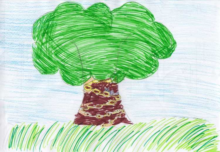 Иллюстрация у Лукоморья дуб зеленый карандашом