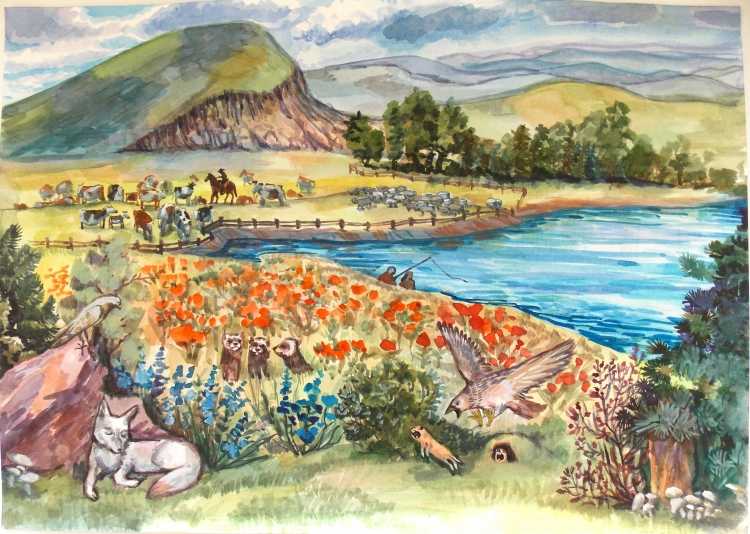 Богатство степи рисунки