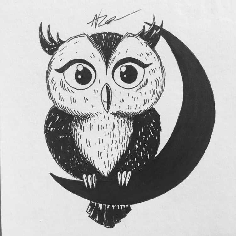 Сова для срисовки