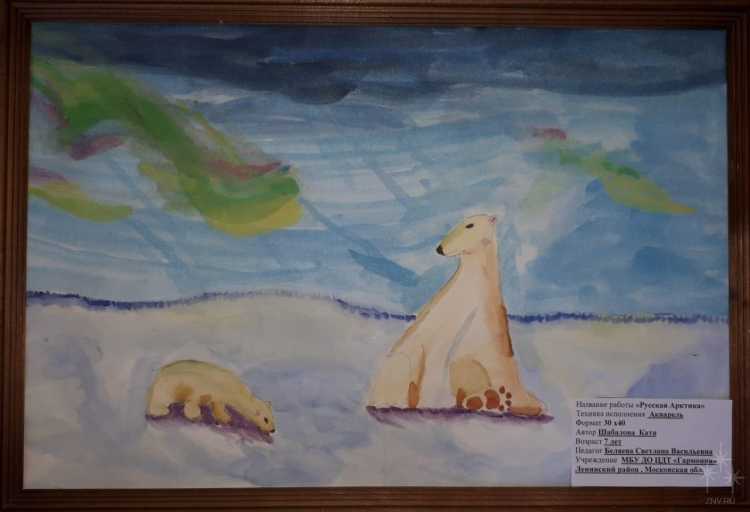 Дети рисуют Арктику