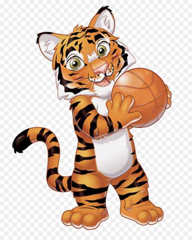 Тигр. Раскраска