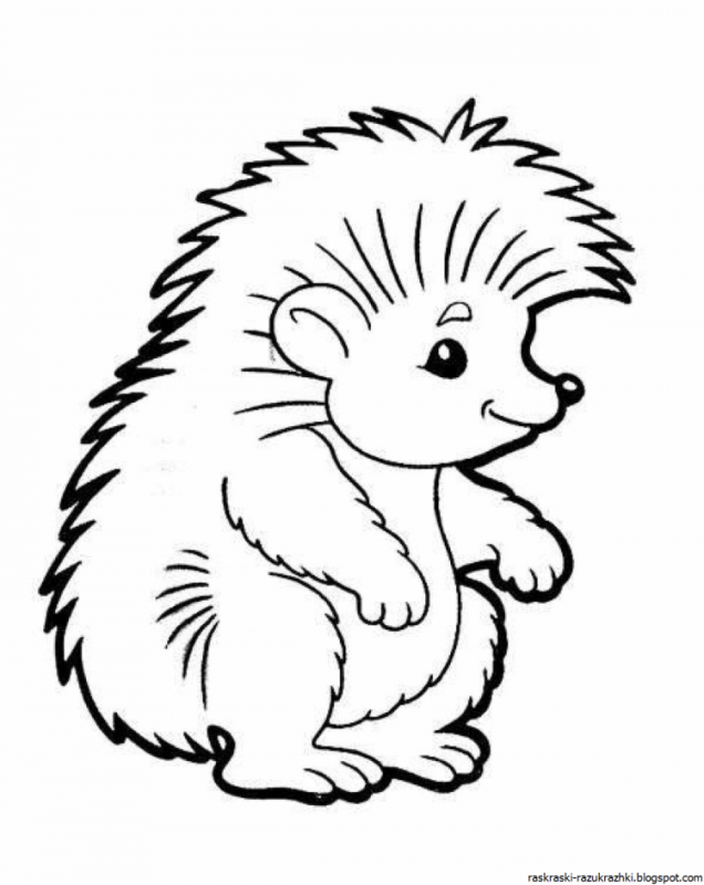Ёжик раскраска для детей