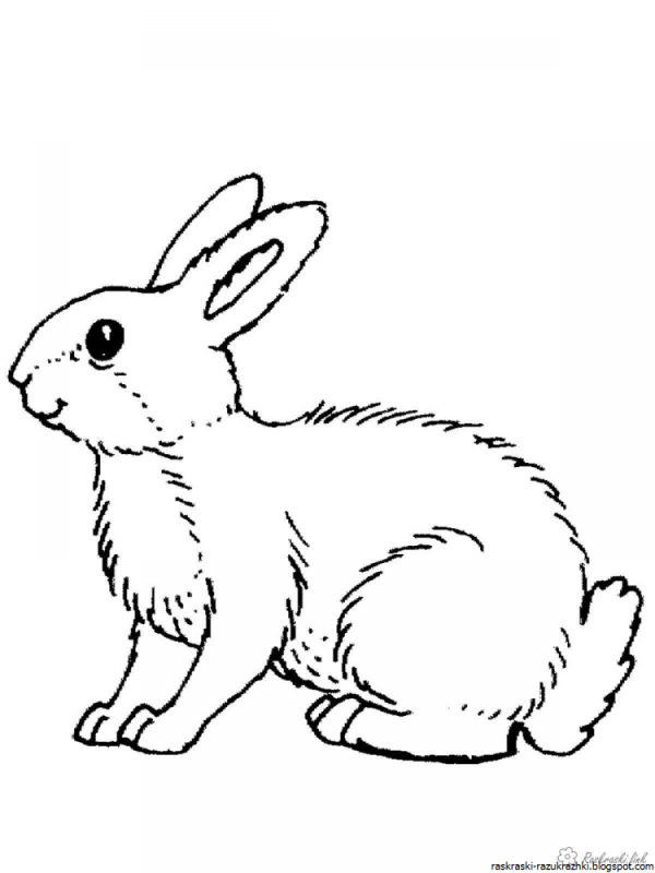Зайчик для детей