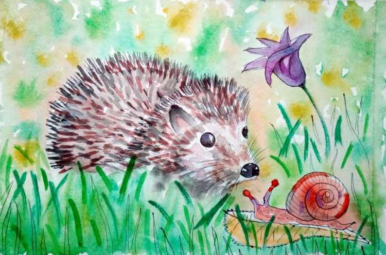 Ежик трафарет