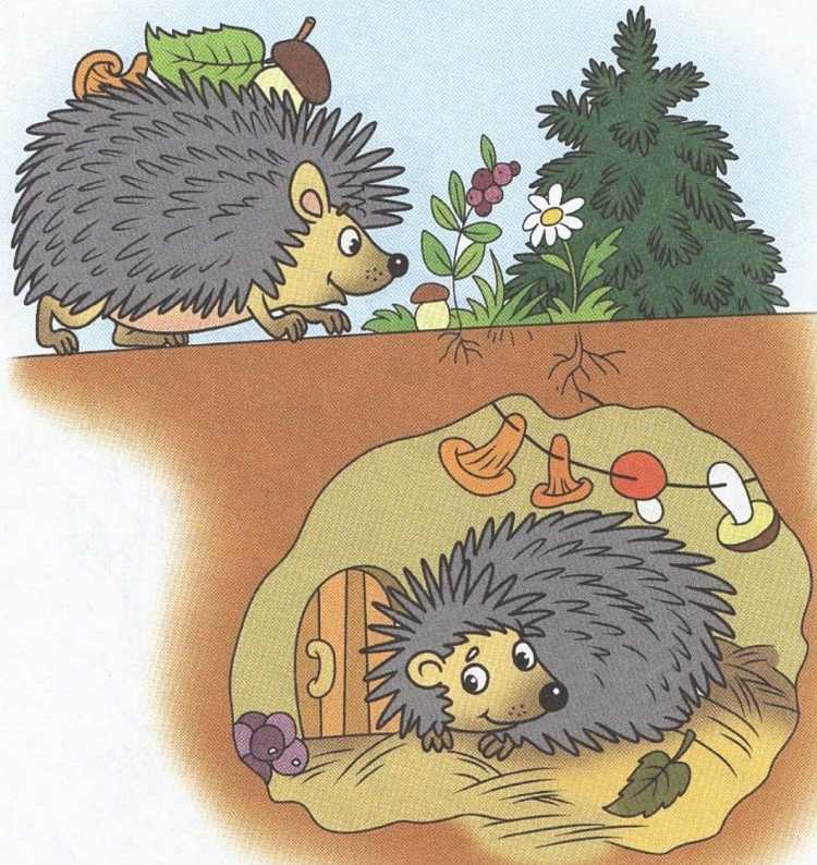 Ежик без фона