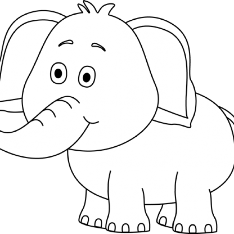 Слоненок рисунок для детей черно-белый