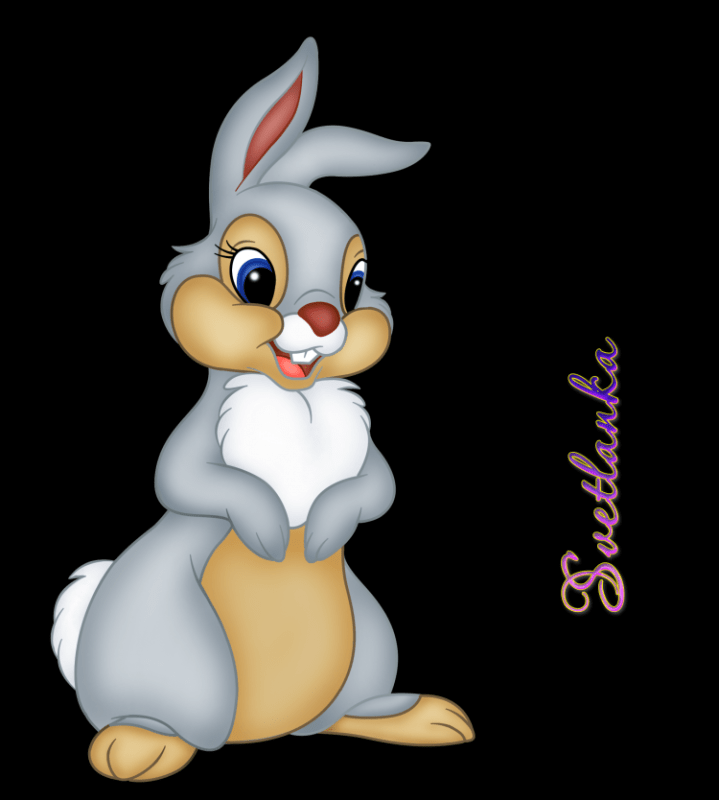 Раскраска кролик