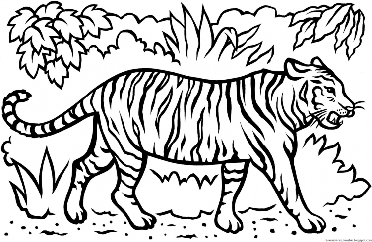 Тигр по точкам