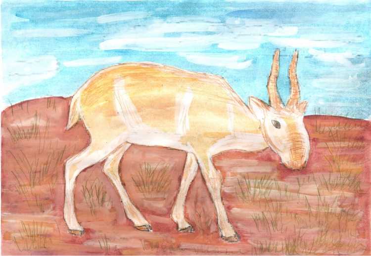 Сайгак Элина Васильевна