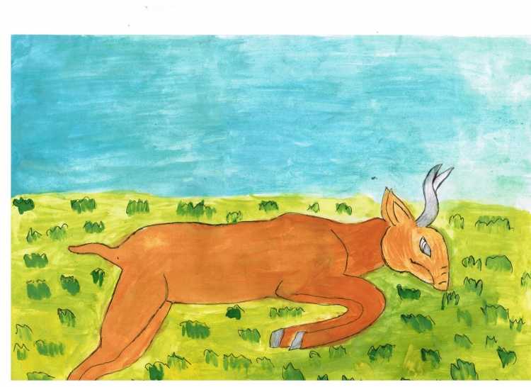 Сайгак рисунок