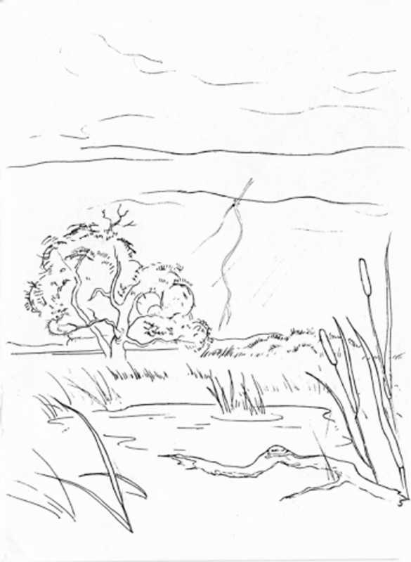 Степной пейзаж раскраска