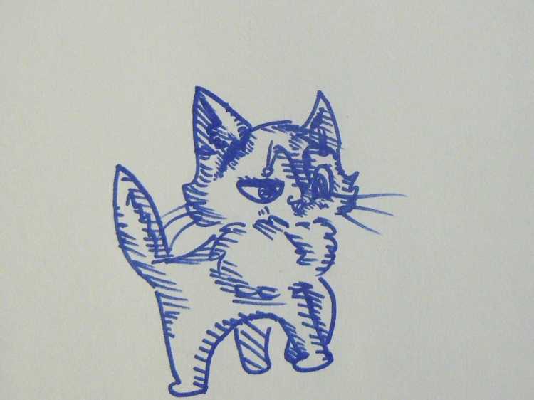 Котенок фломастером
