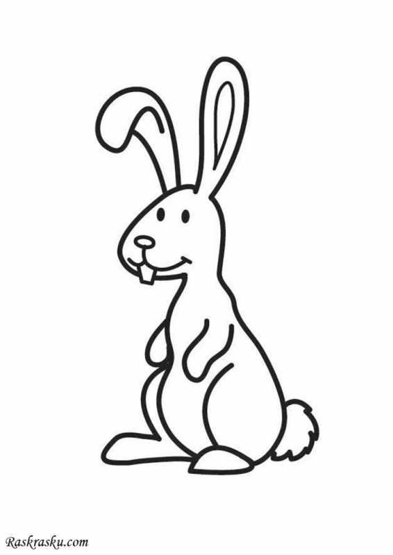 Заяц Русак иллюстрация