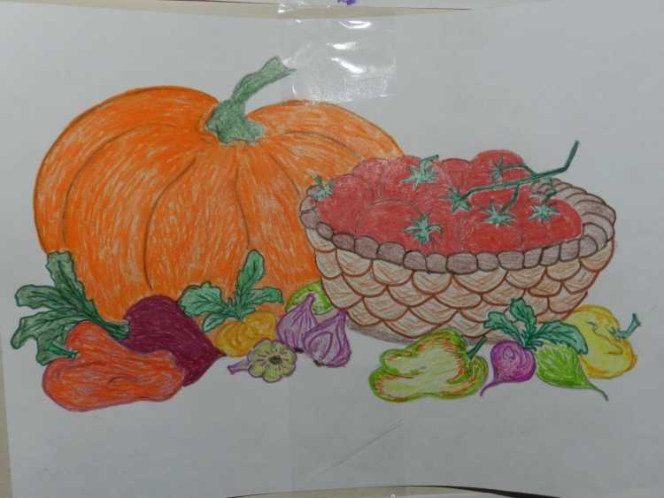 Тарелка рационального питания