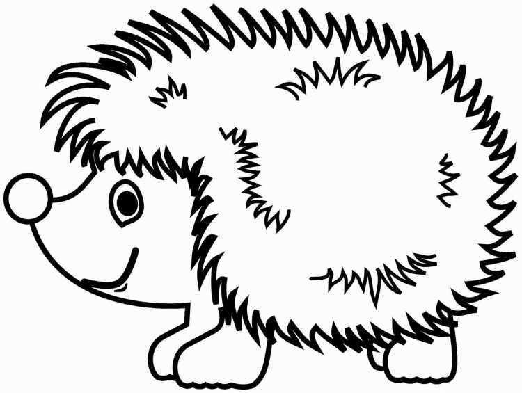 Ежик для раскрашивания