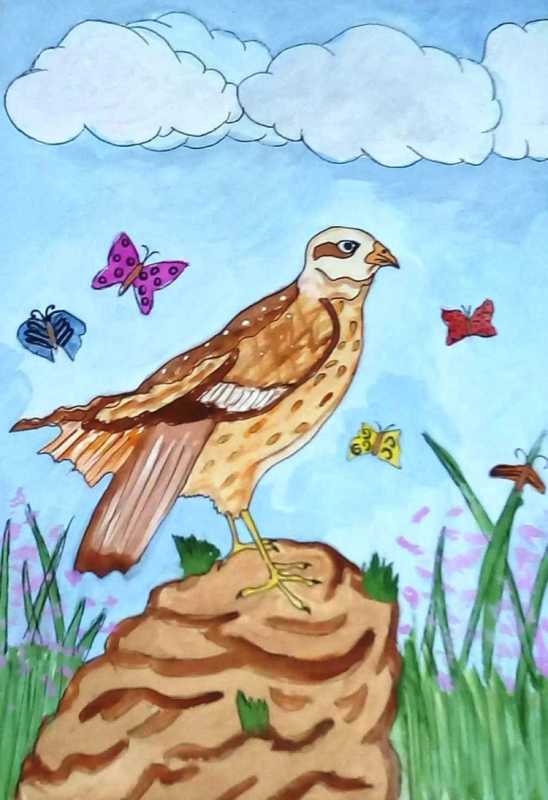 Степь рисунок