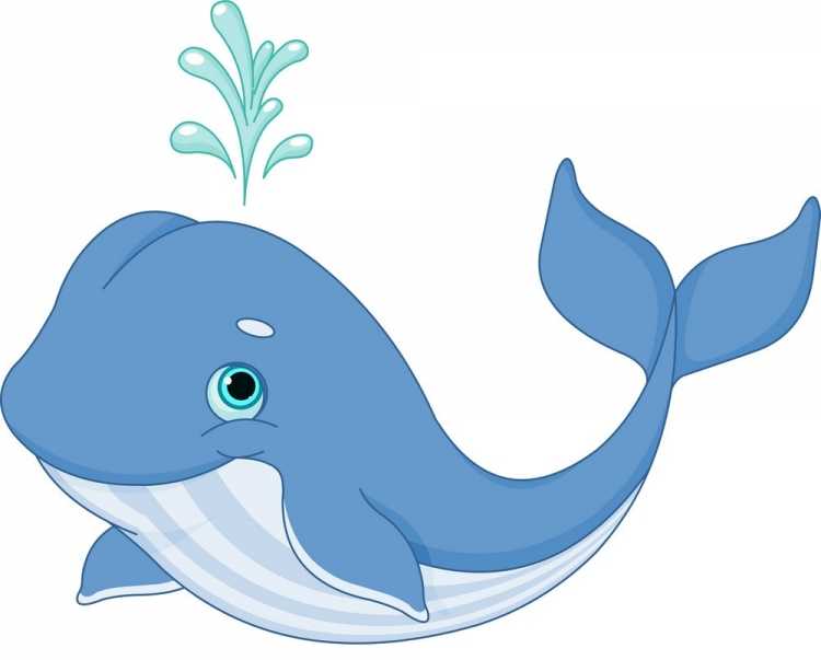 Детям о китах в детском саду