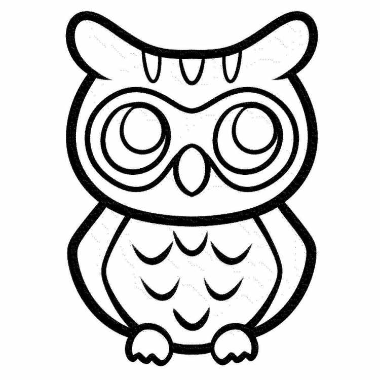 Сова рисунок раскраска