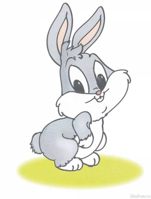 Раскраска зайчик