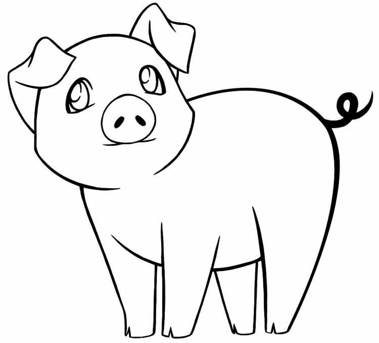Свинка раскраска для детей