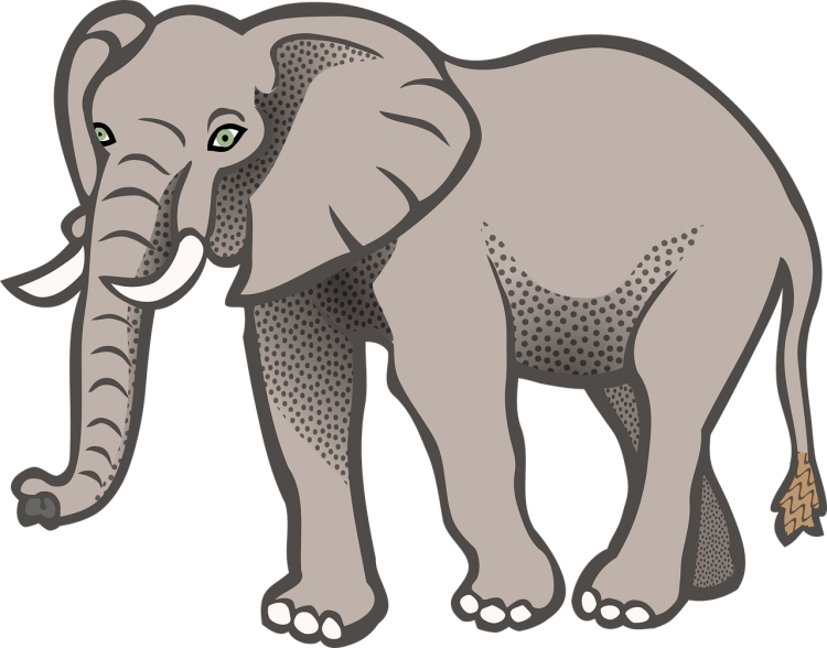 Слон для детей на прозрачном фоне
