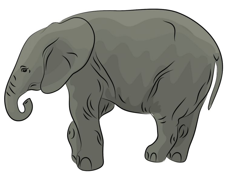 Слон для детей