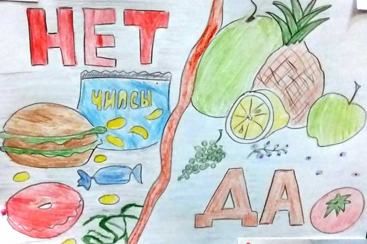 Правильное питание и питье рисунок