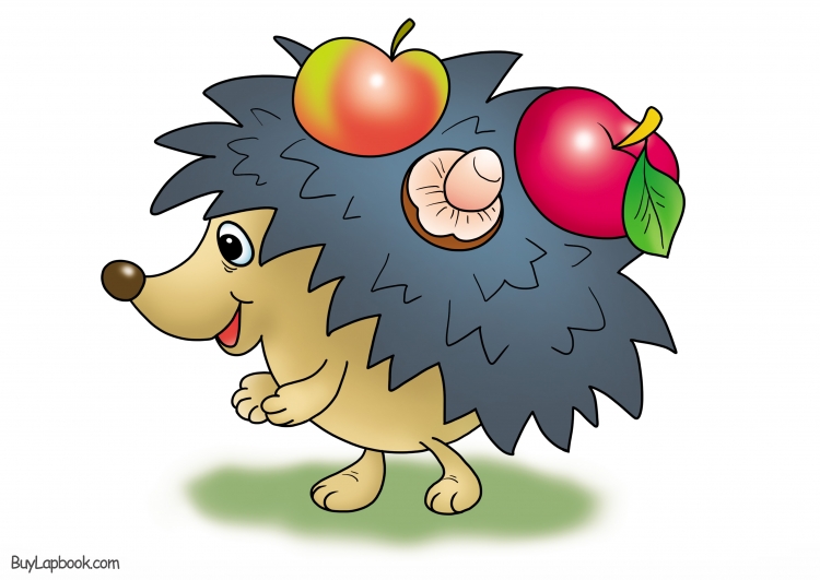 Рисунки Ёжика для срисовки