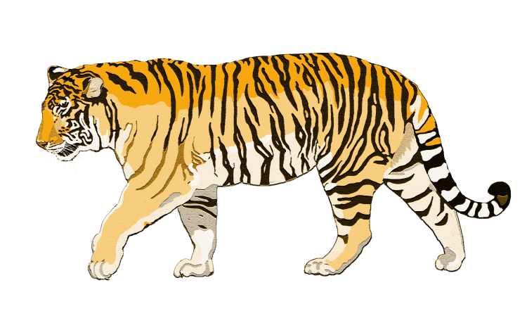 Тигренок рисунок