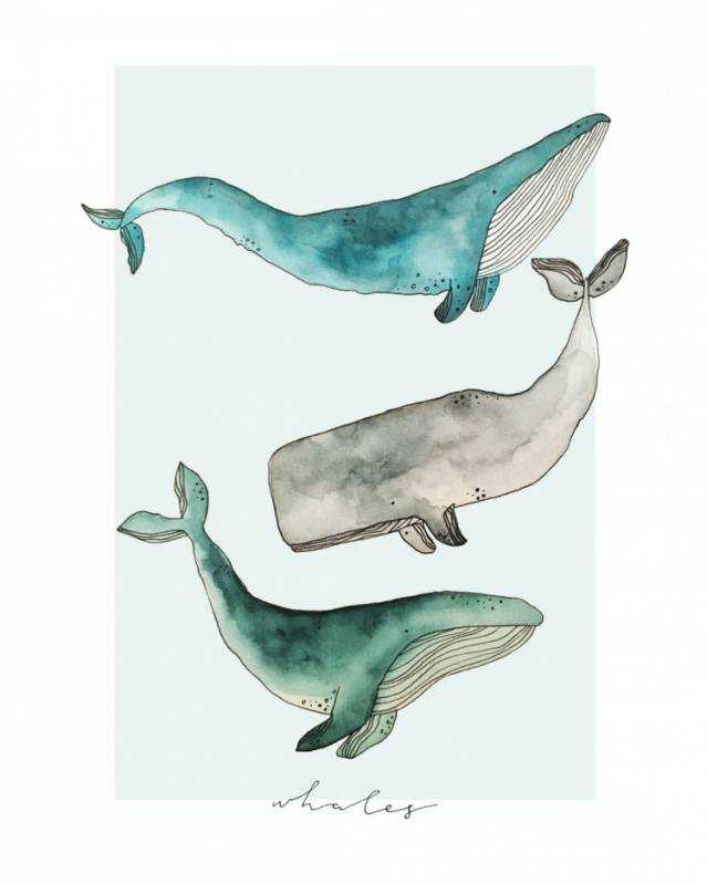 Кит рисунок