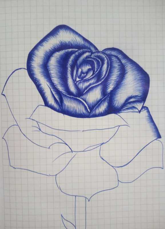 Детский рисунок ручкой