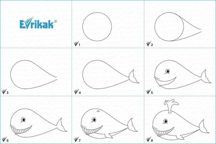 Кит поэтапное рисование