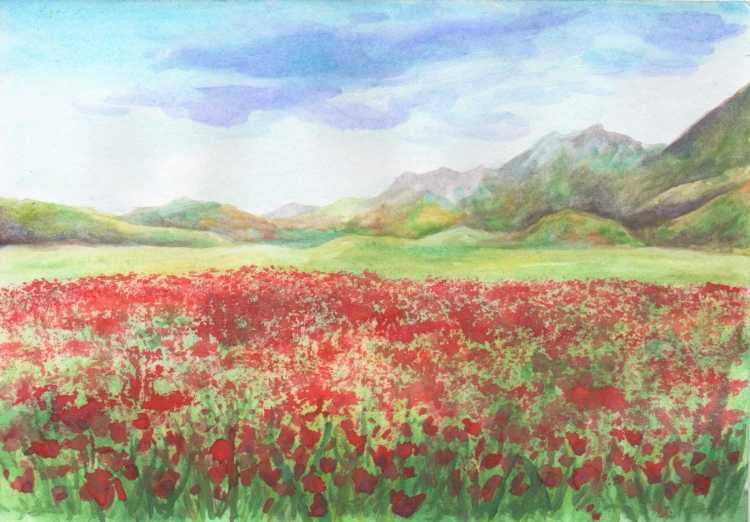 Маковое поле арт