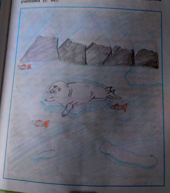 Рисунок Арктики легкий