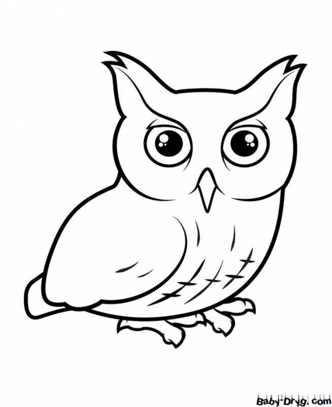 Птичка раскраска