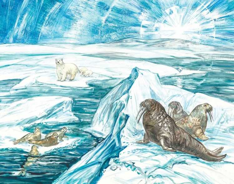 Арктика картины