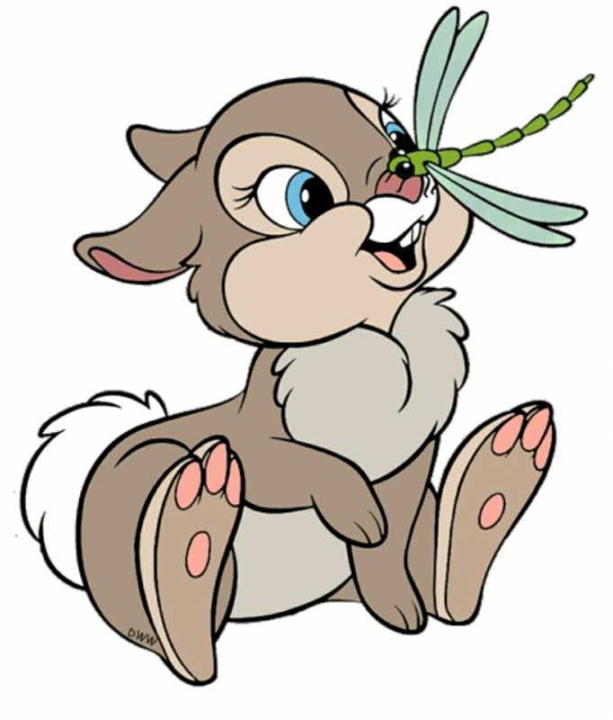 Заяц раскраска