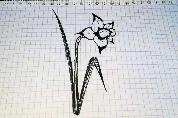 Что такое дудлинг в рисовании