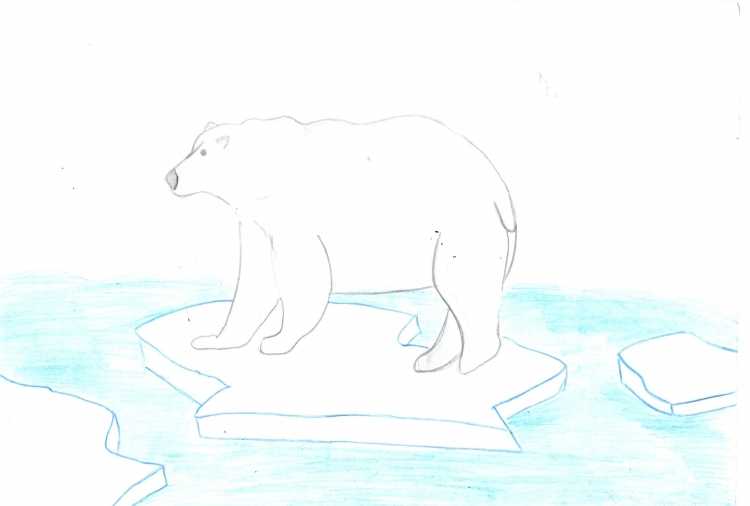 Арктика рисунок карандашом