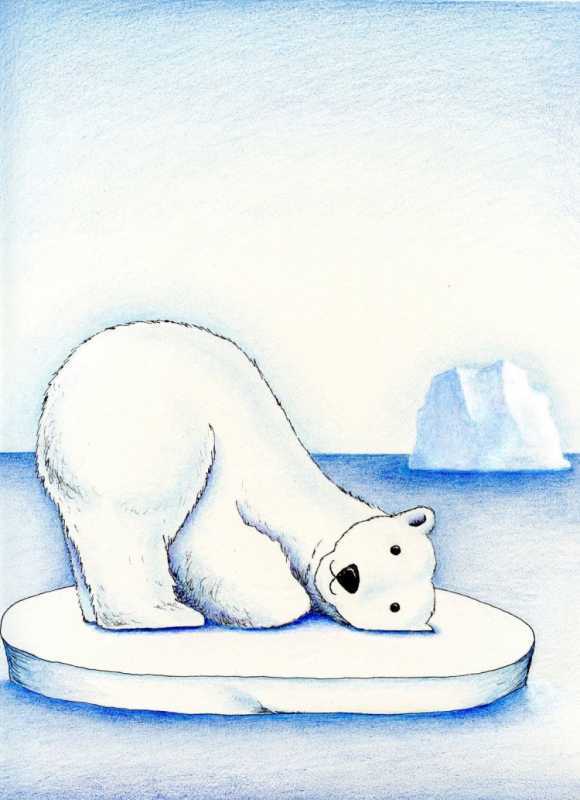 Рисование белый медведь