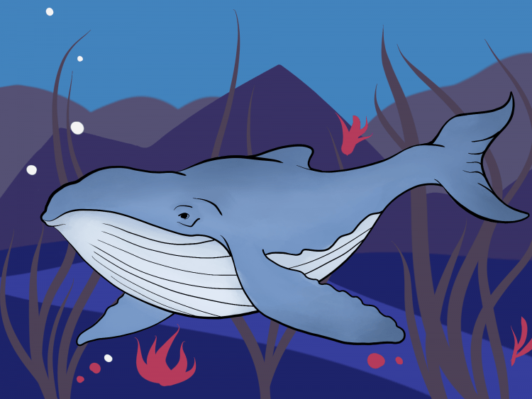 Рисуем кита