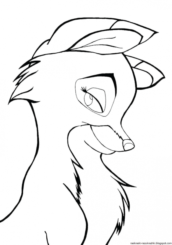 Раскраска Лисичка