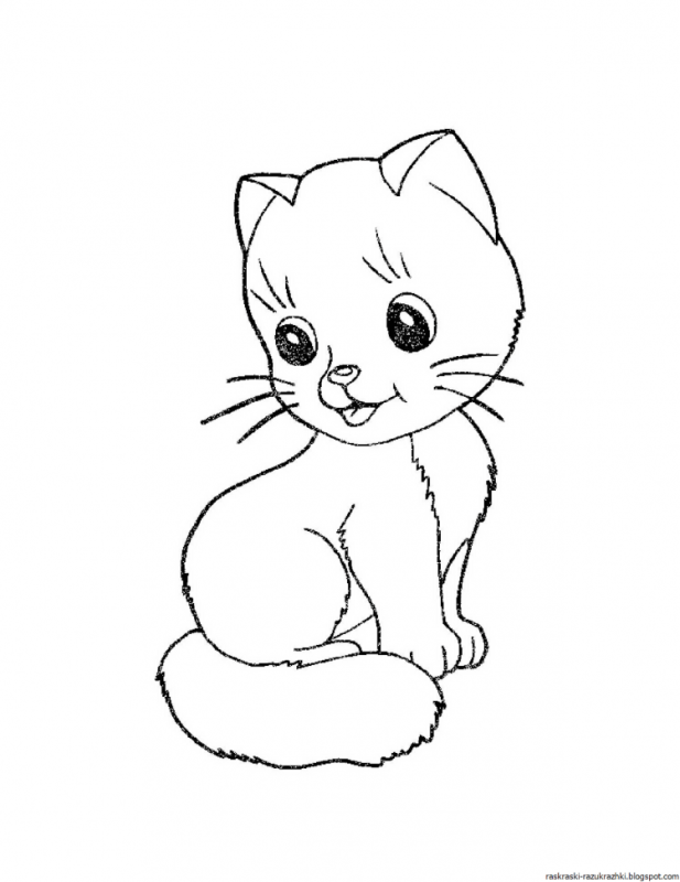 Котенок для раскрашивания