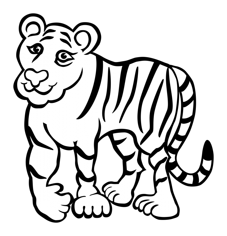 Тигр. Раскраска
