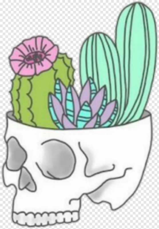 Кактус для срисовки