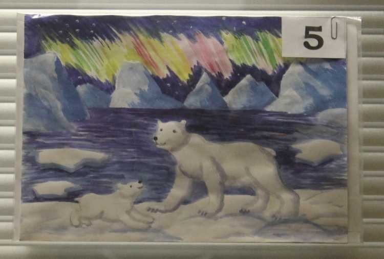 Арктика конкурс рисунков