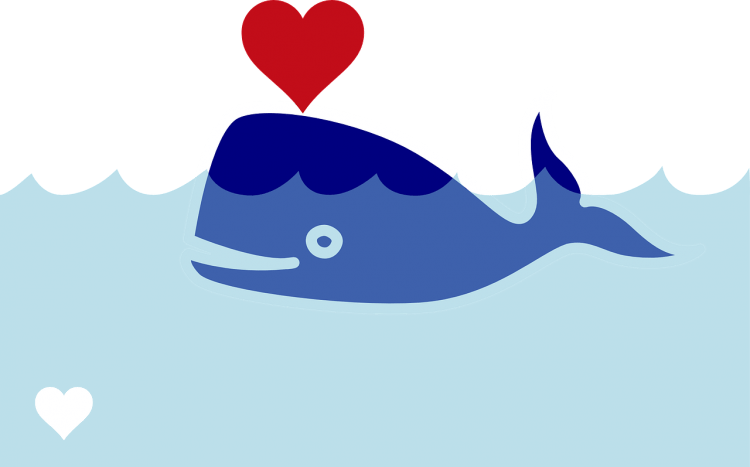 Кит мультяшный