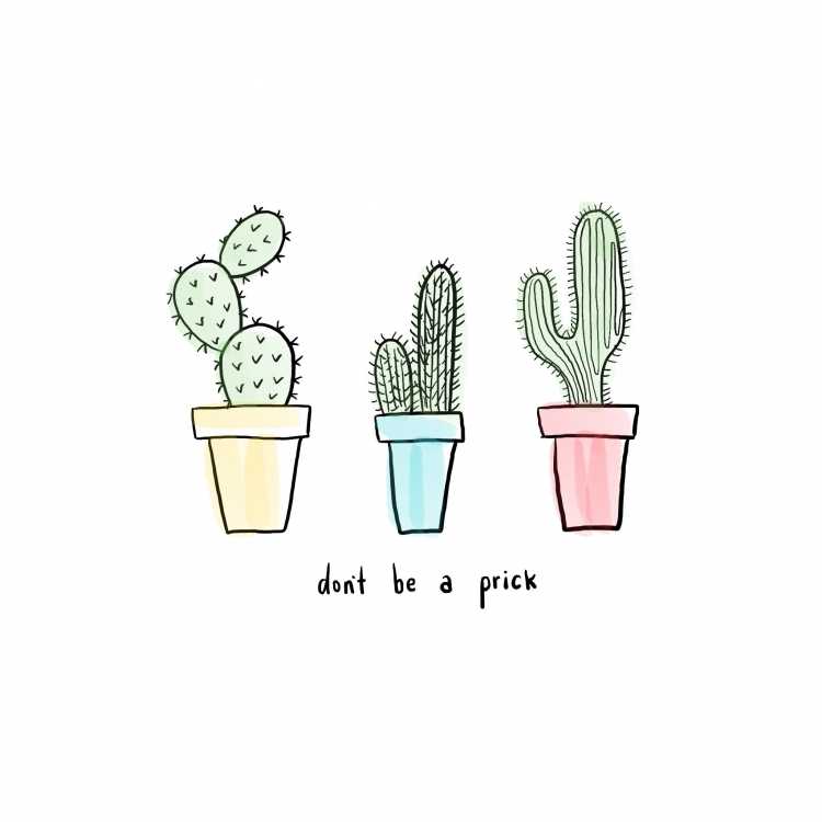 Рисунки для срисовки лёгкие кактусы