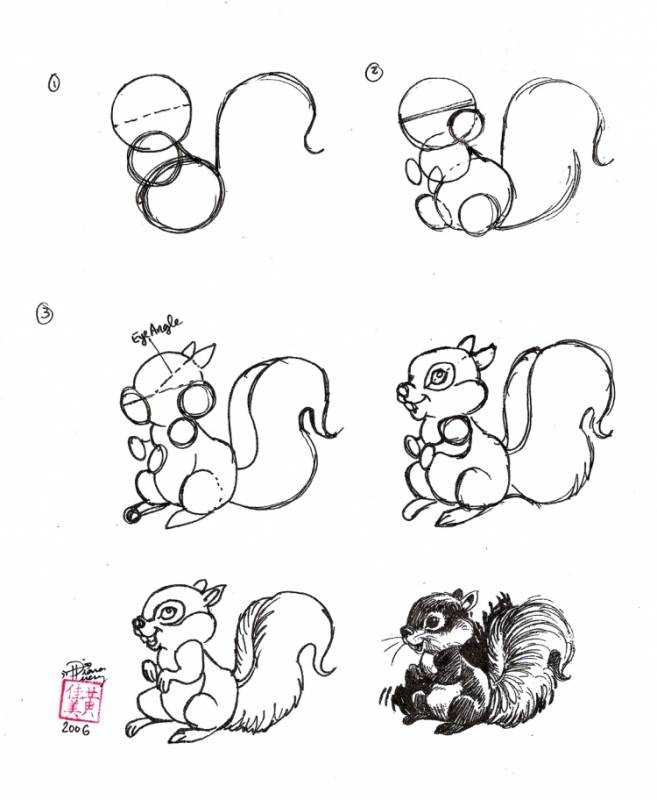 Рисование белки пошагово